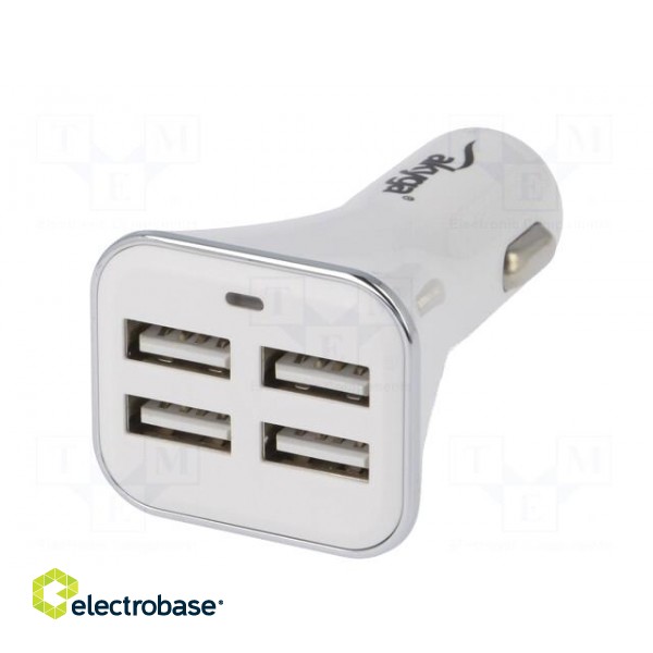 USB power supply | USB A socket x4 | Sup.volt: 12÷24VDC | white image 1