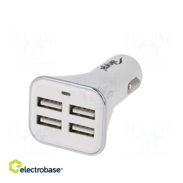 USB power supply | USB A socket x4 | Sup.volt: 12÷24VDC | white image 2