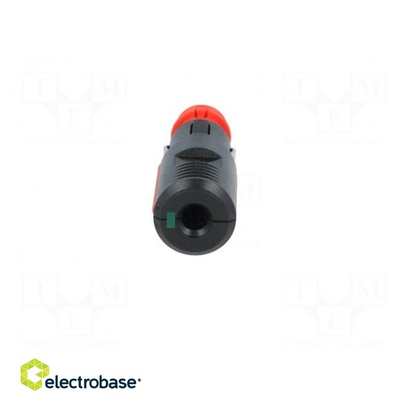 Cigarette lighter plug | screw terminal | 8A | Sup.volt: 12÷24VDC image 6