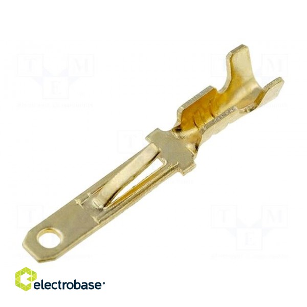 Terminal: flat | 2.8mm | 0.5÷1mm2 | gold-plated | with a latch | male