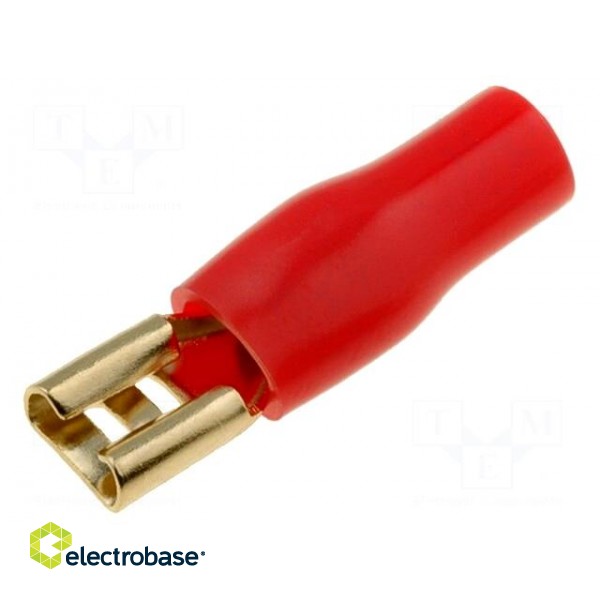 Terminal: flat | 4.8mm | gold-plated | insulated | red | female