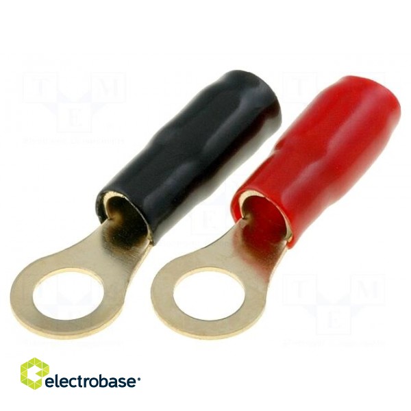 Terminal: ring | M8 | 22mm2 | gold-plated | insulated | red and black