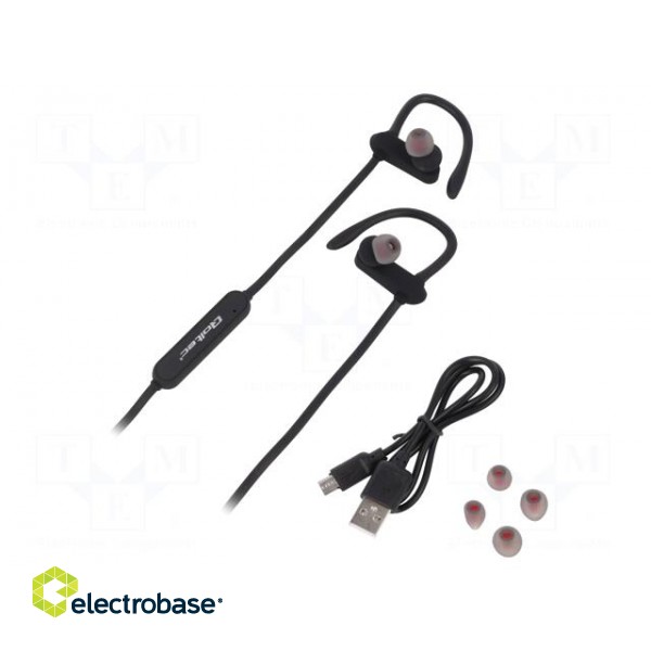 Bluetooth headphones with microphone | black | USB,USB micro