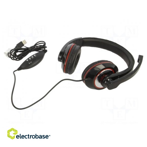 Headphones with microphone | black,red | USB A | headphones | 2m