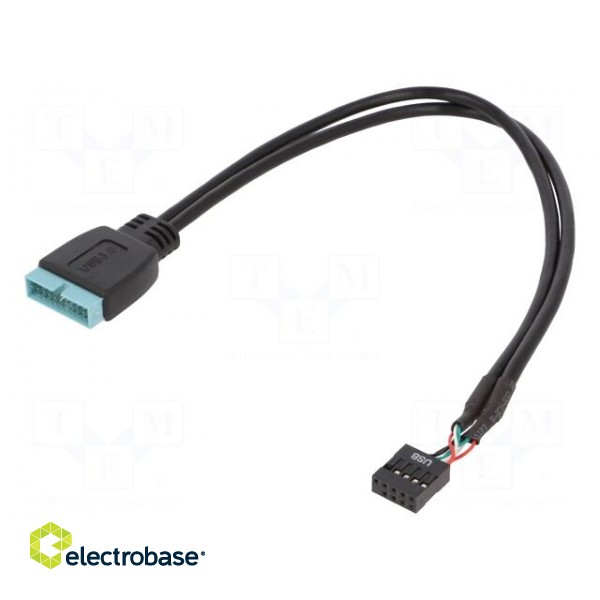 Cable: mains | USB 2.0 9pin,USB 3.0 19pin | 0.3m | Cablexpert