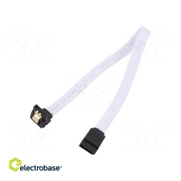 Cable: SATA | SATA plug,SATA plug angled | 0.3m | SATA III | white