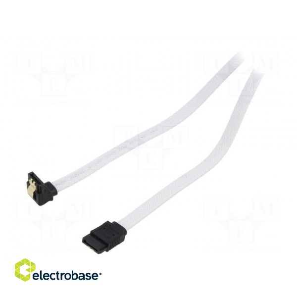Cable: SATA | SATA plug,SATA plug angled | 0.5m | SATA III | white