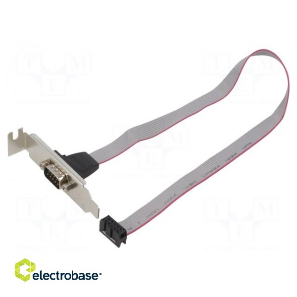 Transition: adapter | 10pin IDC,D-Sub 9pin plug | 0.4m | Cablexpert