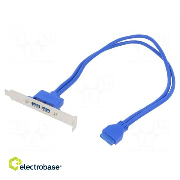 Transition: adapter | IDE 20pin female,USB A socket x2 | 0.4m
