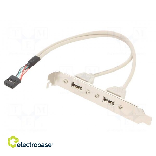 Transition: adapter | USB A socket x2,10pin pin header | 0.25m