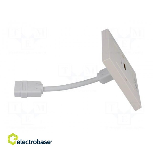 Wall socket | white | HDMI | Mounting: wall mount | No.of sockets: 1 image 7