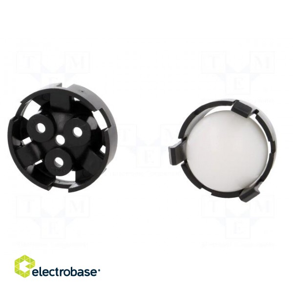 Ball casters | Kit: ball,housing | screw | Ø: 34mm | Tip mat: plastic paveikslėlis 7
