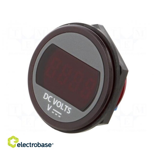 Voltmeter | digital,mounting | 6÷75V | on panel | rear side nut | LED image 1