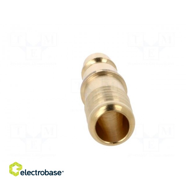 Plug-in nozzle EURO | with bushing | Mat: brass | Connection: 13mm фото 5