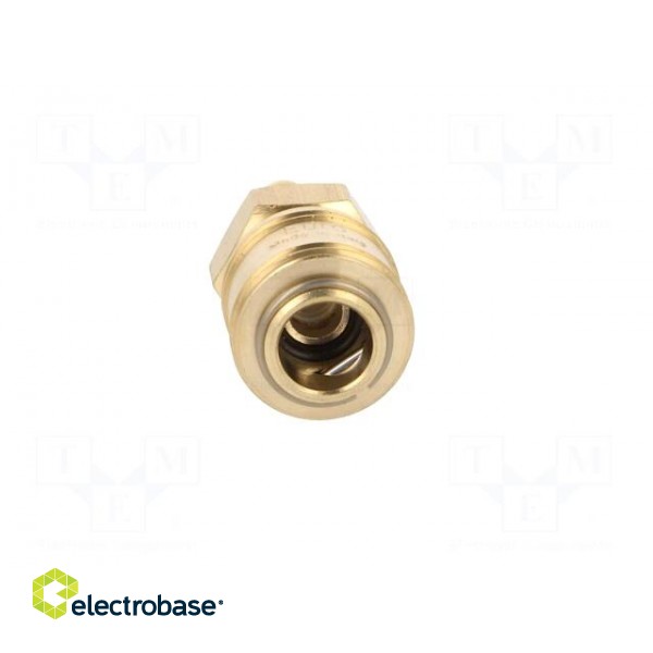 Quick connection coupling EURO | with bushing | Mat: brass image 9