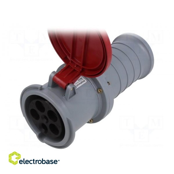 Connector: AC supply 3-phase | plug | female | 63A | 415VAC | IEC 60309 image 2