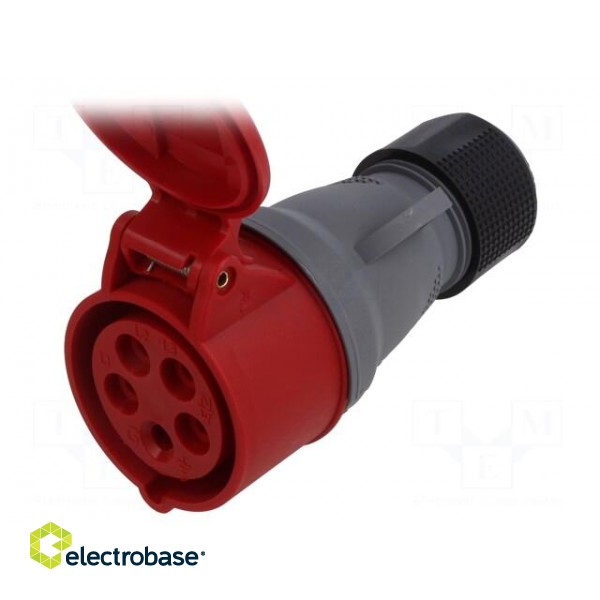 Connector: AC supply 3-phase | plug | female | 16A | 415VAC | IEC 60309 paveikslėlis 2