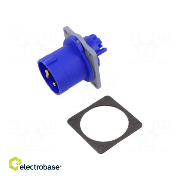 Connector: AC supply 3-phase | socket | male | 16A | 250VAC | IEC 60309