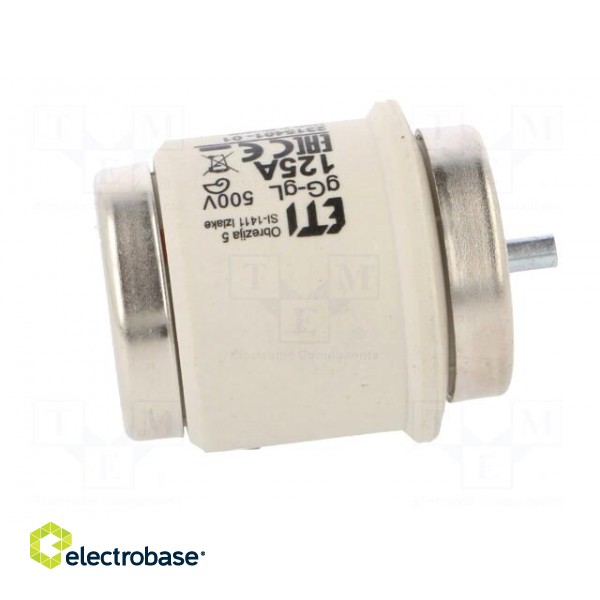 Fuse: fuse | gG | 125A | 500VAC | 500VDC | ceramic | DV | D фото 7