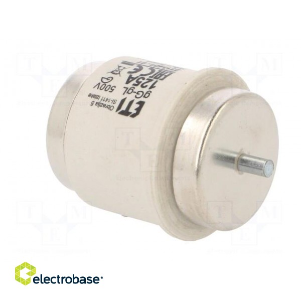 Fuse: fuse | gG | 125A | 500VAC | 500VDC | ceramic | DV | D image 8