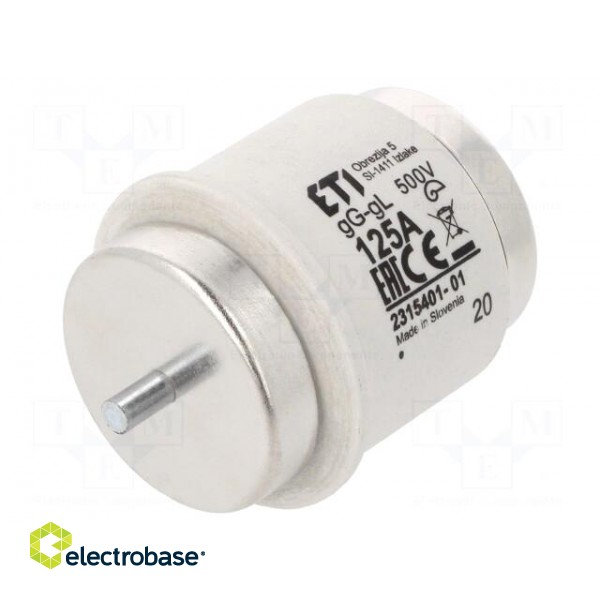Fuse: fuse | gG | 125A | 500VAC | 500VDC | ceramic | DV | D image 1