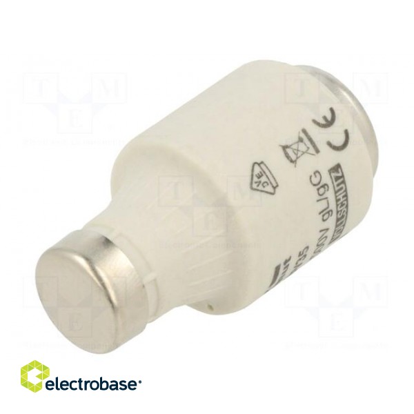 Fuse: fuse | gG | 35A | 500VAC | 500VDC | industrial | DIII
