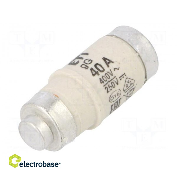 Fuse: fuse | gG | 40A | 400VAC | 250VDC | ceramic | D02 | D0