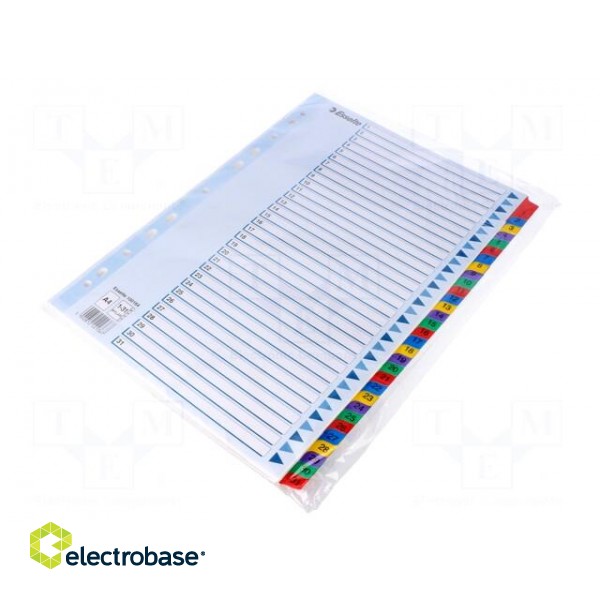 File dividers numbered | Label symbol: 1-31