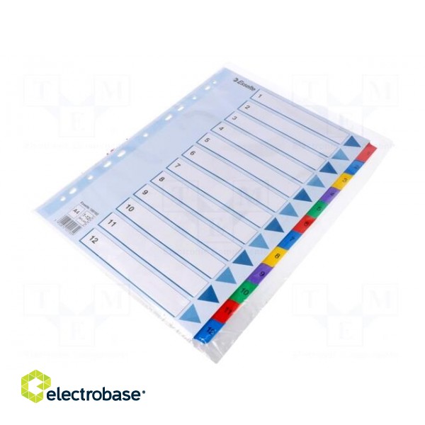 File dividers numbered | Marking: 1-12