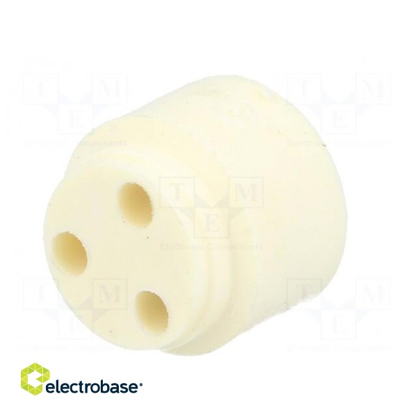 Insert for gland | with thread NPT | Size: NPT1/2" | Holes no: 3 | 3mm image 6