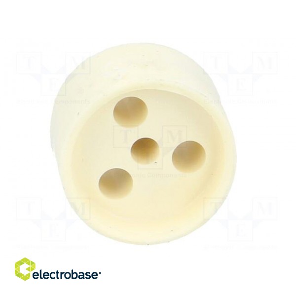 Insert for gland | with thread NPT | Size: NPT1/2" | Holes no: 3 | 3mm image 9