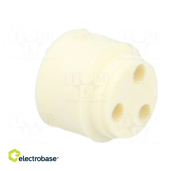 Insert for gland | with thread NPT | Size: NPT1/2" | Holes no: 3 | 3mm image 4