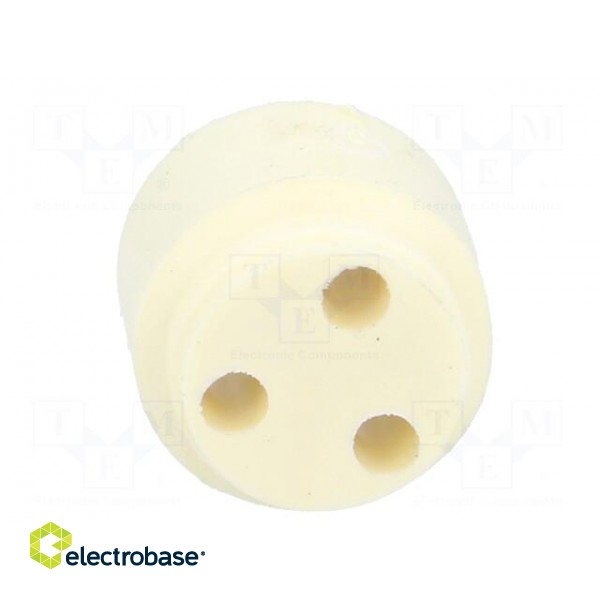 Insert for gland | with thread NPT | Size: NPT1/2" | Holes no: 3 | 3mm image 5