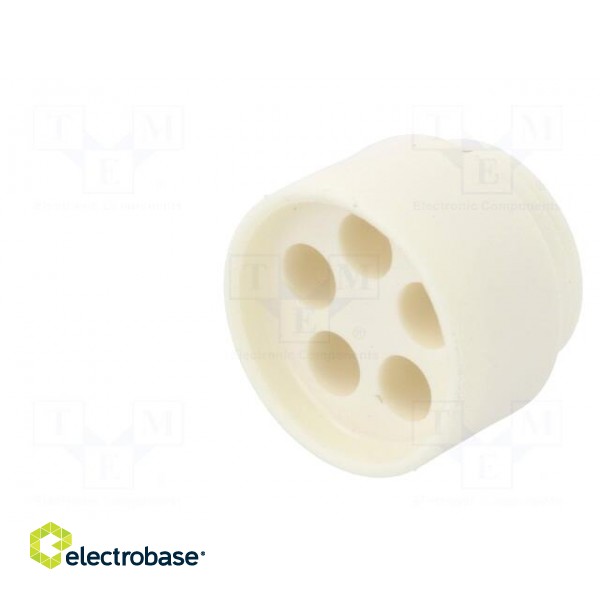Insert for gland | 4mm | NPT1/2" | elastomer | Holes no: 5 | -40÷100°C image 2