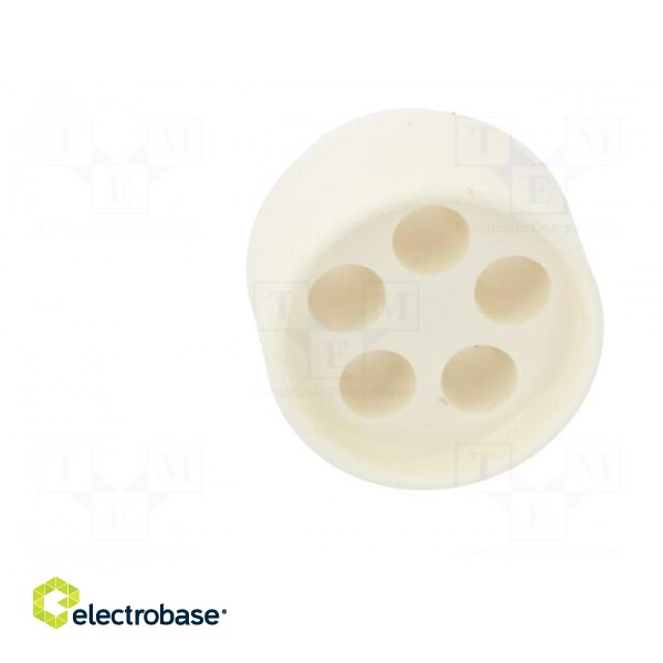 Insert for gland | 4mm | NPT1/2" | elastomer | Holes no: 5 | -40÷100°C image 9