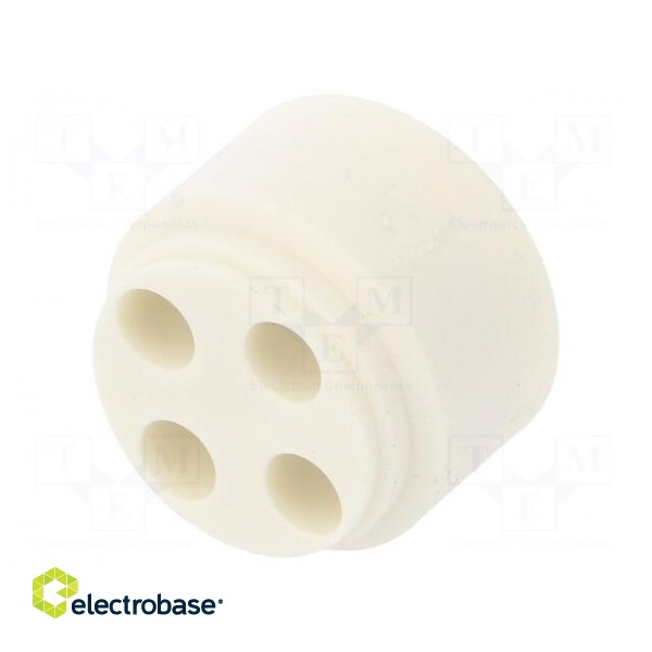 Insert for gland | with thread NPT | Size: NPT3/4" | Holes no: 4 | 5mm image 2