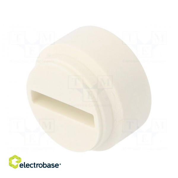 Insert for gland | Mat: elastomer | 29x5.5mm | Man.series: HSK-FLAKA image 2