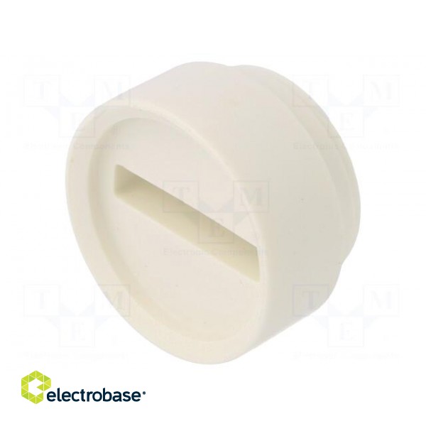 Insert for gland | Mat: elastomer | 29x5.5mm | Man.series: HSK-FLAKA image 1