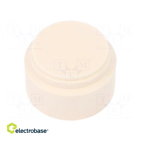 Insert for gland | with thread NPT | Size: NPT1 1/4",NPT1" image 1