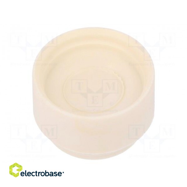 Insert for gland | with thread NPT | Size: NPT1 1/4",NPT1" image 2
