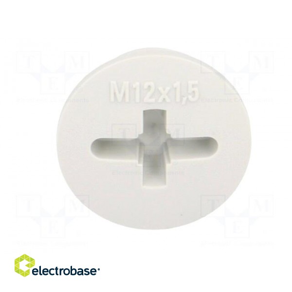 Stopper | M12 | 1,5 | IP54 | Mat: polyamide | light grey фото 9