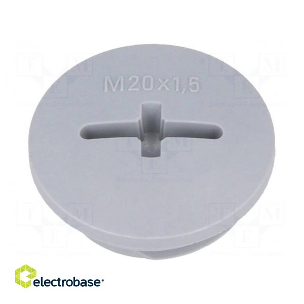 Stopper | M20 | 1.5 | IP54 | polyamide | dark grey | SKINDICHT® | 6mm image 1