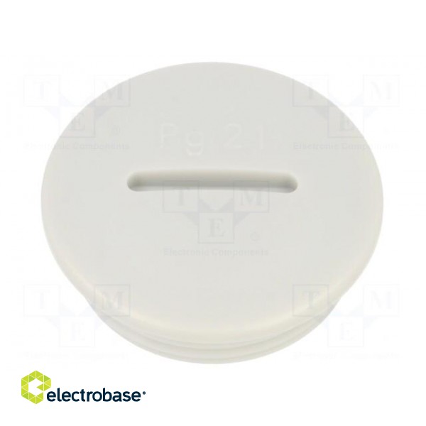 Stopper | PG21 | IP56 | polyamide | light grey | Thread: PG | 8mm image 1