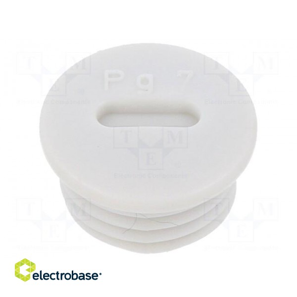 Stopper | PG7 | IP56 | polyamide | light grey | Thread: PG | 6mm | -25÷60°C paveikslėlis 1