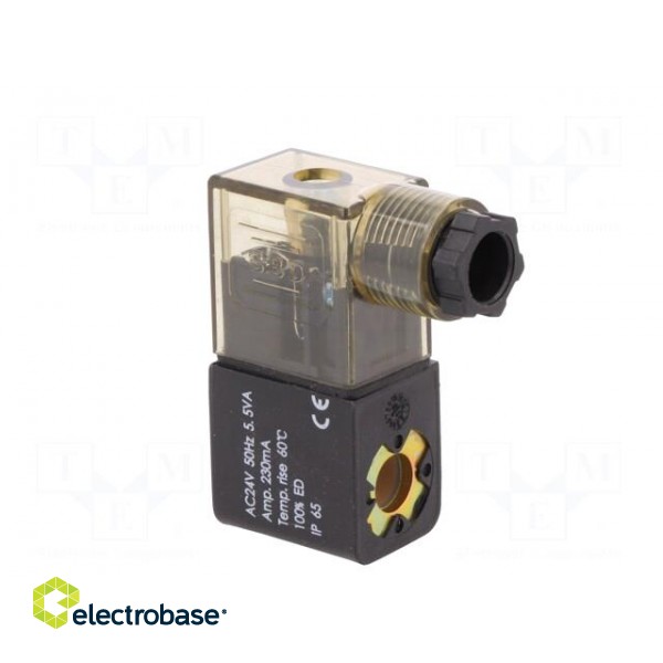 Coil for solenoid valve | IP65 | 4.8W | 24VAC | A: 20.8mm | B: 29mm image 4