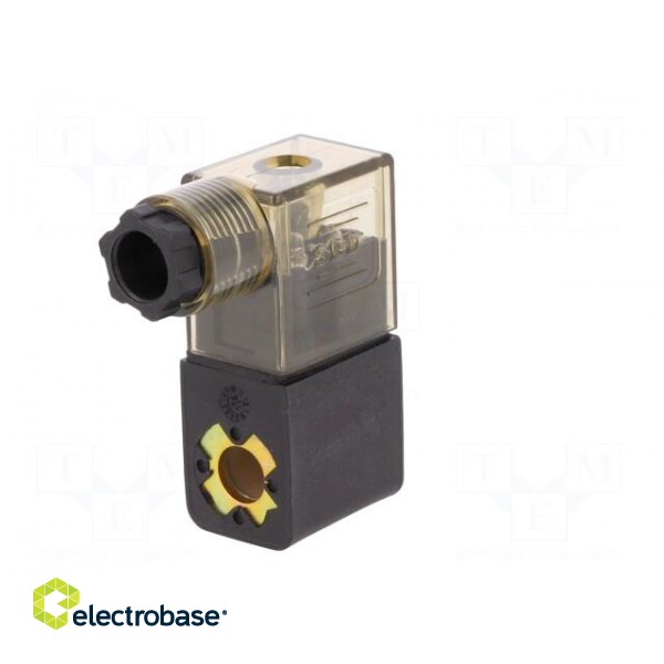 Coil for solenoid valve | IP65 | 4.8W | 24VAC | A: 20.8mm | B: 29mm image 6