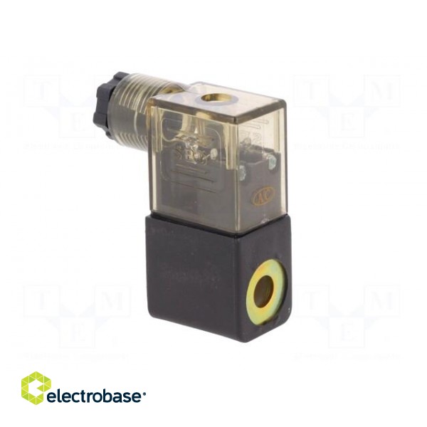 Coil for solenoid valve | IP65 | 4.8W | 24VAC | A: 20.8mm | B: 29mm image 8