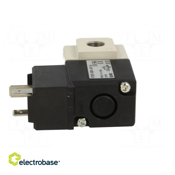 Electromagnetic valve | Pressure: 0÷9bar | Temp: 0÷50°C | Usup: 24VDC image 5