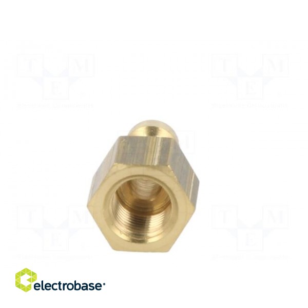 Connector | connector pipe | 0÷35bar | brass | Deans,NW 5 | -20÷100°C image 5