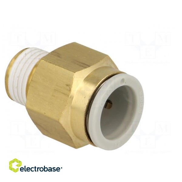 Push-in fitting | threaded,straight | R 1/8" | outside | -1÷10bar image 7